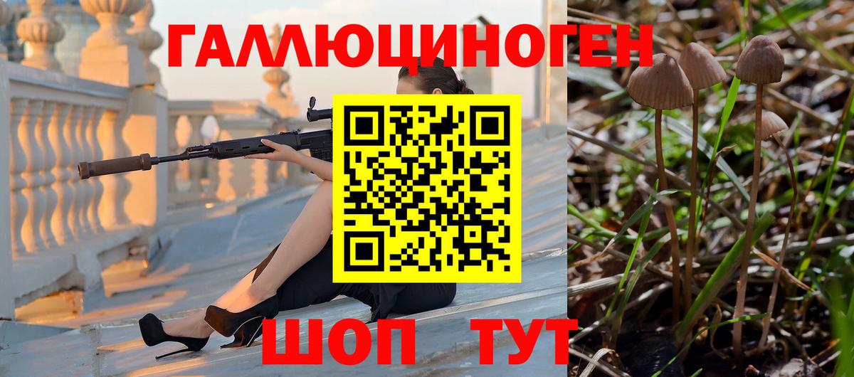 Галлюциногенные грибы Psilocybe  Вход с VPN  Электрогорск 